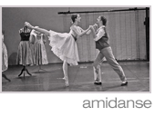 lien vers la page amidanse